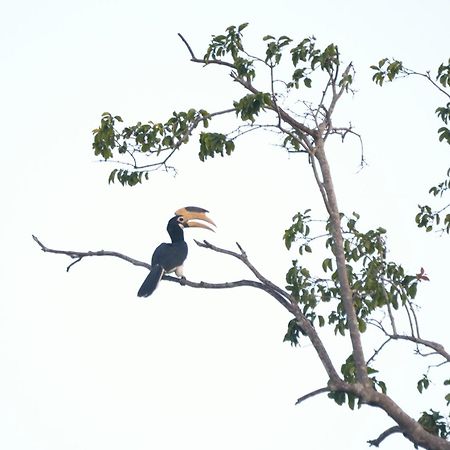Pelican View Cottages Kataragama Bagian luar foto