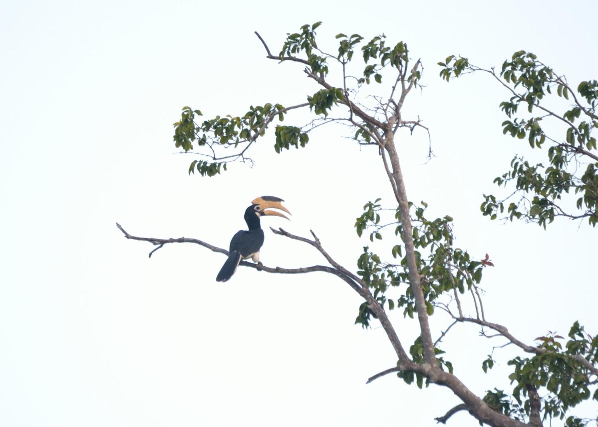 Pelican View Cottages Kataragama Bagian luar foto